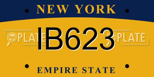IB623 New York License Plate