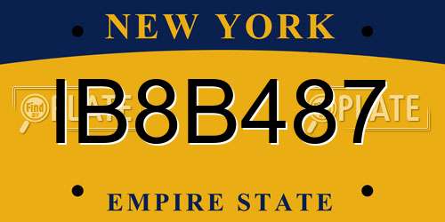 IB8B487 New York License Plate