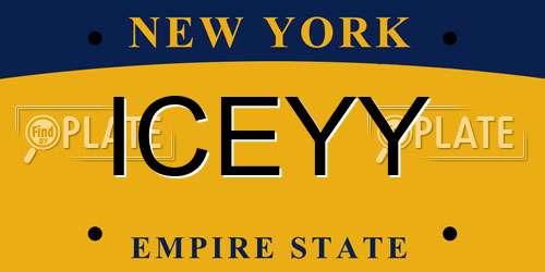 ICEYY New York License Plate