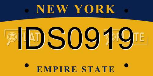 IDS0919 New York License Plate