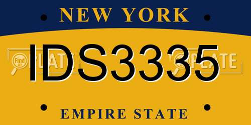 IDS3335 New York License Plate