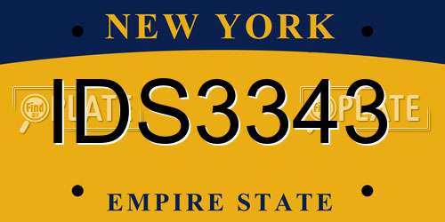 IDS3343 New York License Plate