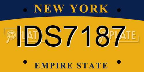 IDS7187 New York License Plate