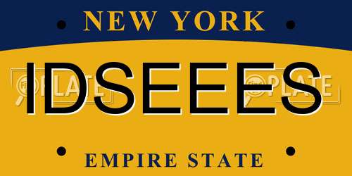 IDSEEES New York License Plate