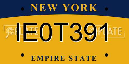 IE0T391 New York License Plate