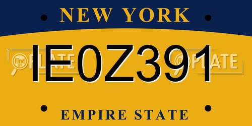 IE0Z391 New York License Plate
