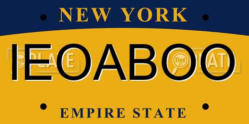IEOABOO New York License Plate