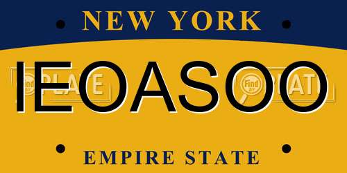 IEOASOO New York License Plate