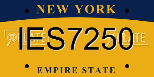 IES7250 New York License Plate