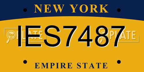 IES7487 New York License Plate