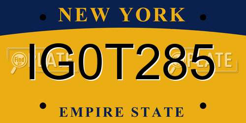 IG0T285 New York License Plate