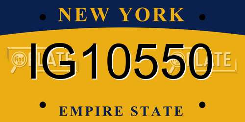IG10550 New York License Plate