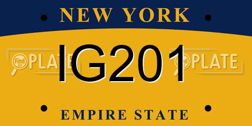 IG201 New York License Plate