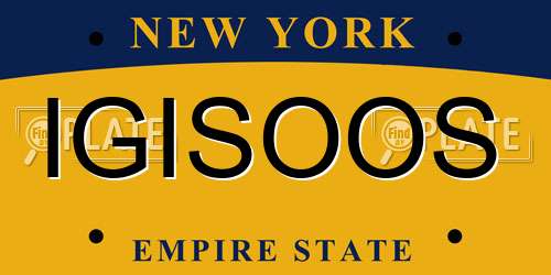 IGISOOS New York License Plate