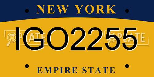 IGO2255 New York License Plate