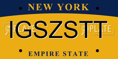 IGSZSTT New York License Plate
