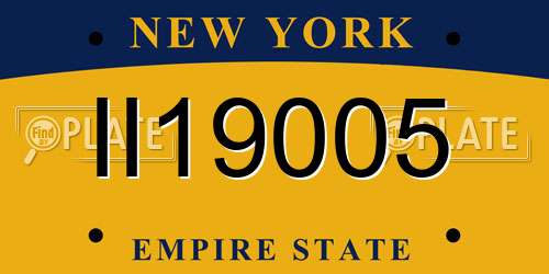II19005 New York License Plate