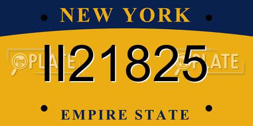 II21825 New York License Plate