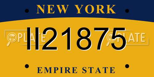 II21875 New York License Plate