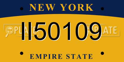 II50109 New York License Plate