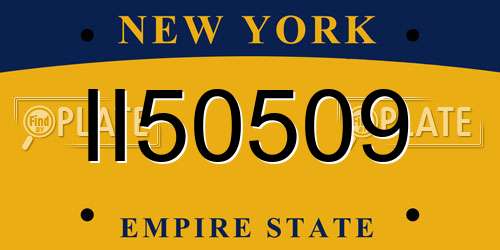 II50509 New York License Plate