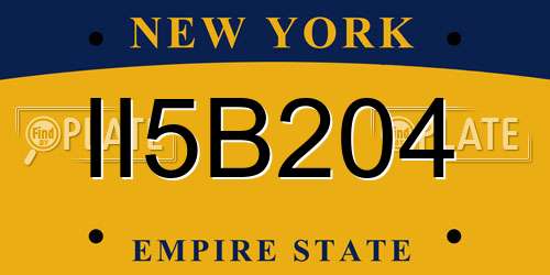 II5B204 New York License Plate
