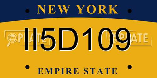 II5D109 New York License Plate