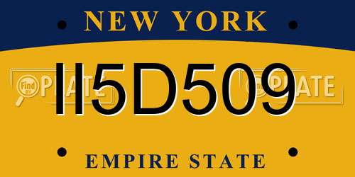 II5D509 New York License Plate