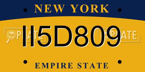 II5D809 New York License Plate