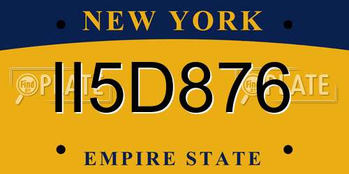 II5D876 New York License Plate