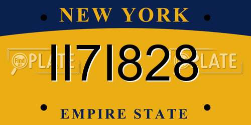 II7I828 New York License Plate