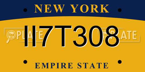 II7T308 New York License Plate
