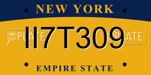 II7T309 New York License Plate