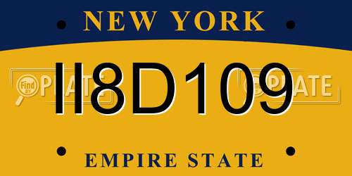 II8D109 New York License Plate