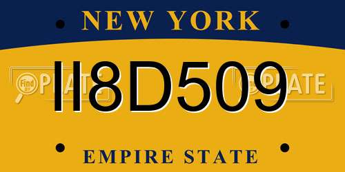 II8D509 New York License Plate