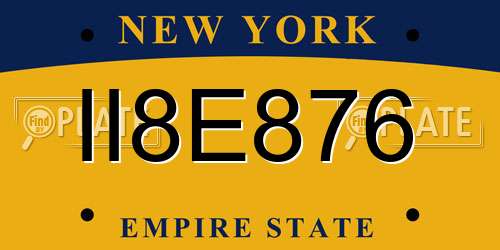 II8E876 New York License Plate