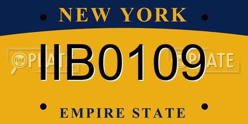 IIB0109 New York License Plate