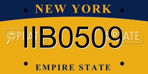 IIB0509 New York License Plate