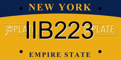 IIB223 New York License Plate