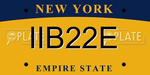 IIB22E New York License Plate