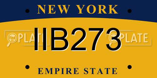 IIB273 New York License Plate