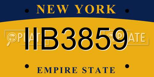 IIB3859 New York License Plate
