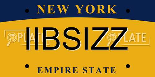 IIBSIZZ New York License Plate