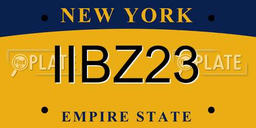 IIBZ23 New York License Plate