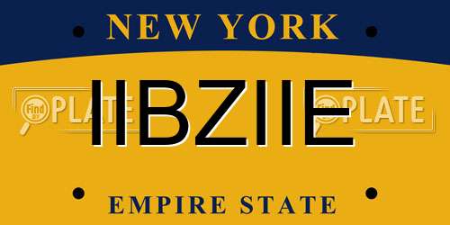 IIBZIIE New York License Plate