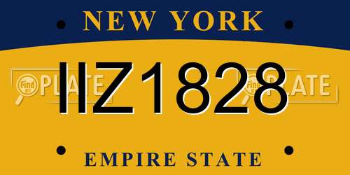 IIZ1828 New York License Plate