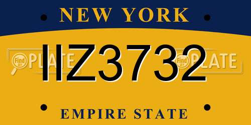IIZ3732 New York License Plate