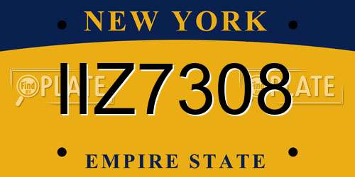 IIZ7308 New York License Plate