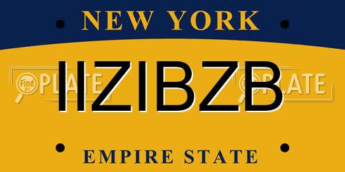 IIZIBZB New York License Plate