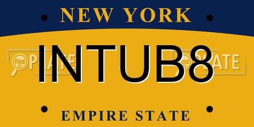 INTUB8 New York License Plate